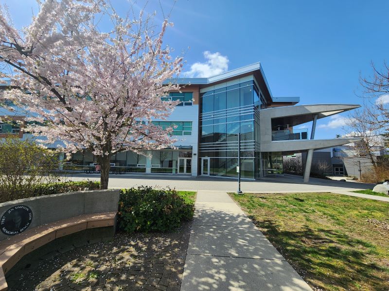 A blossoming tree in front of the Student Union Building