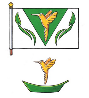 UFV flag and badge