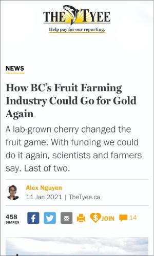 How BC’s Fruit Farming Industry Could Go for Gold Again, Lenore Newman, by Alex Nguyen