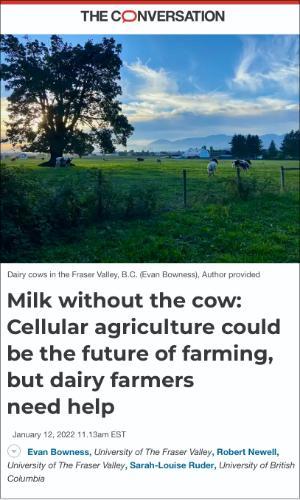 Milk without the cow: Cellular agriculture could be the future of farming, but dairy farmers need help, The Conversation