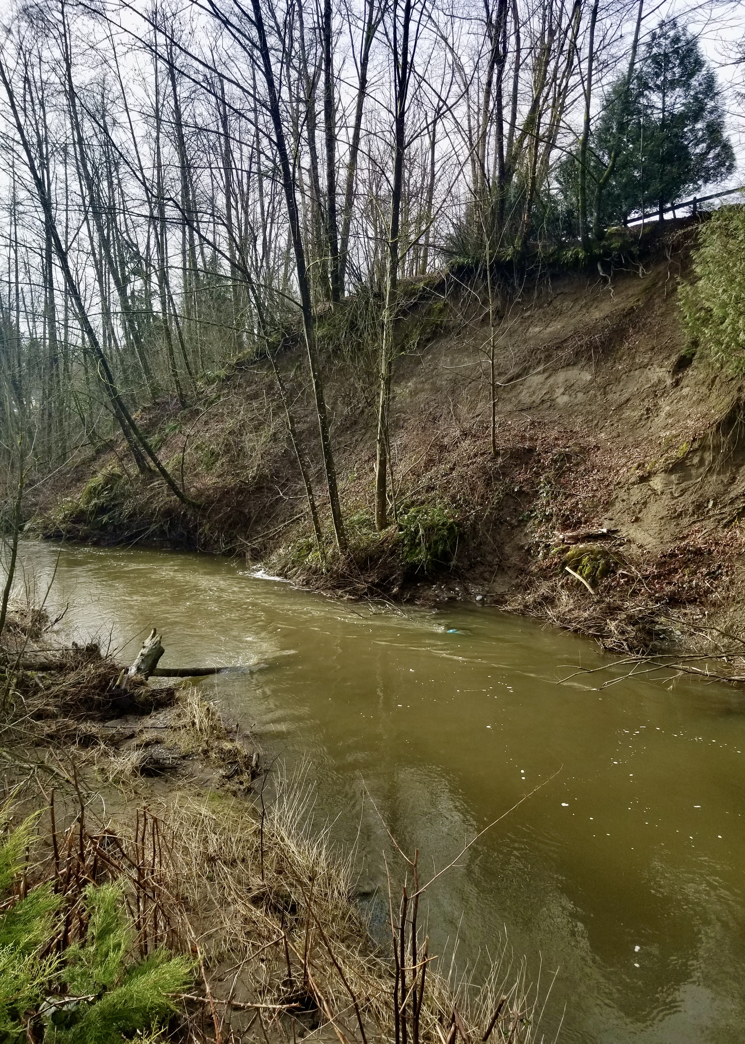 Howes Creek at 8th Ave. (Toews, D., February 21, 2021) - lack of riparian vegetation, erosion, Bertrand Creek Watershed