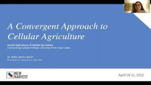 A Convergent Approach to Cellular Agriculture, Yadira Tejeda Saldana