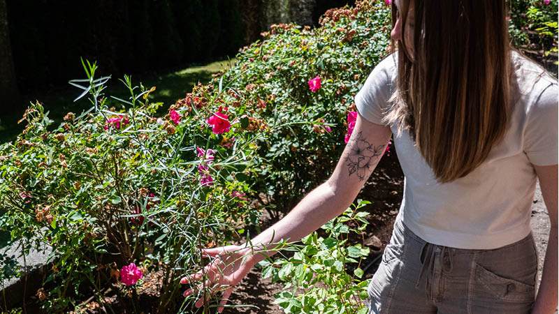A flowerbed with red flowers. A student's arm is visible, cradling one of the blooms.